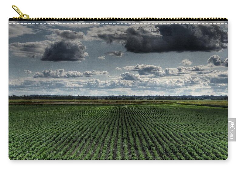 Soy Bean Zip Pouch featuring the photograph Soy Beans by Jane Linders