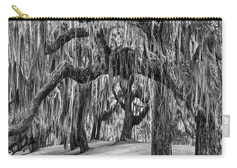 Clouds Carry-all Pouch featuring the photograph Spanish Moss in Black and White by Debra and Dave Vanderlaan