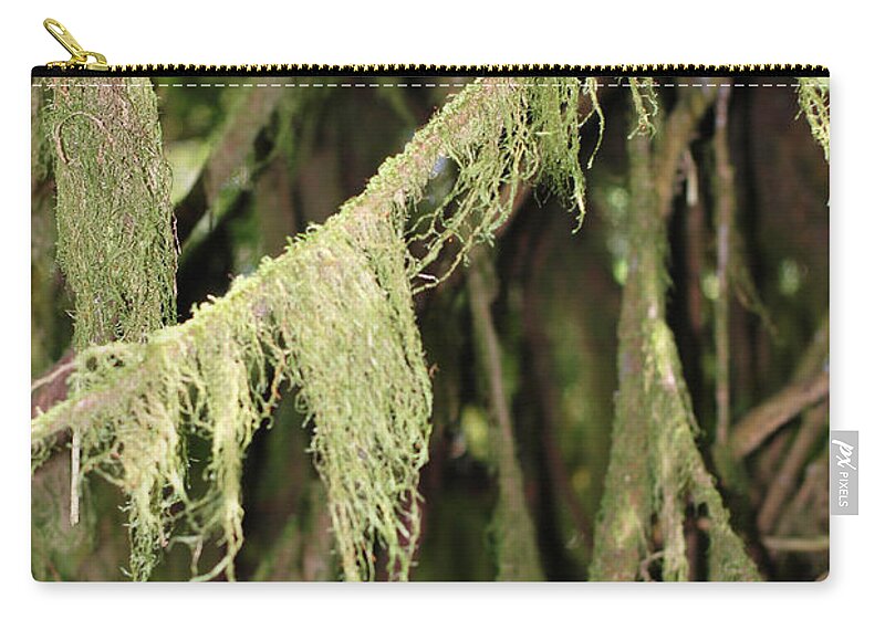 Spanish Moss Zip Pouch featuring the photograph Spanish Moss In Olympic National Park by Connie Fox