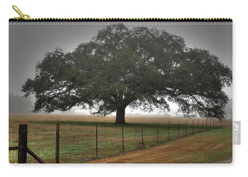 Spanish Oak Zip Pouch featuring the photograph Spanish Oak I by Lanita Williams