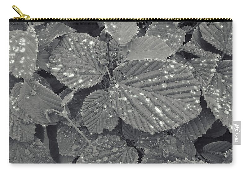 Leaves Zip Pouch featuring the photograph Sparkling Leaves by Cathy Anderson