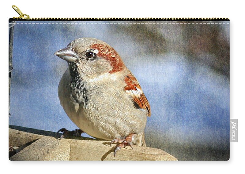 Bird Zip Pouch featuring the photograph Sparrow 5  by Susan McMenamin