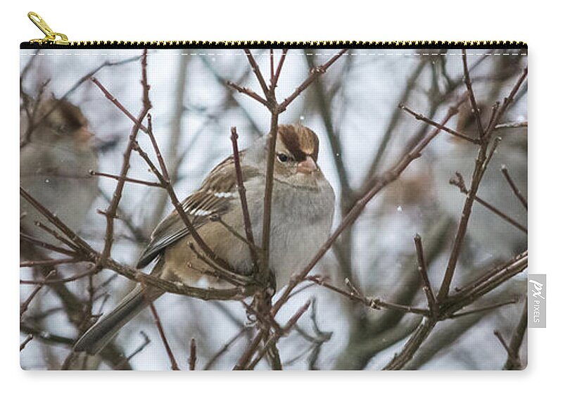 Sparrow Carry-all Pouch featuring the photograph Sparrows in the Winter by Holden The Moment