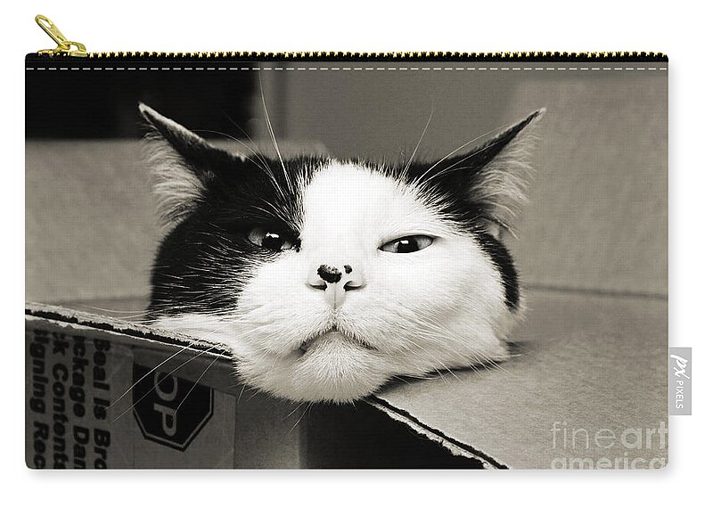 Andee Design Cat Carry-all Pouch featuring the photograph Special Delivery It's Pepper The Cat by Andee Design