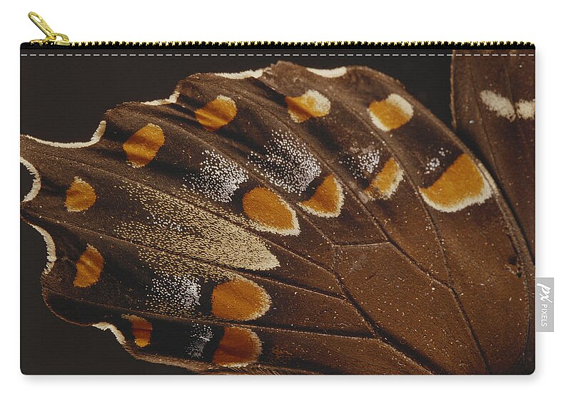 Animal Zip Pouch featuring the photograph Spicebush Swallowtail Under Normal by Gary Retherford