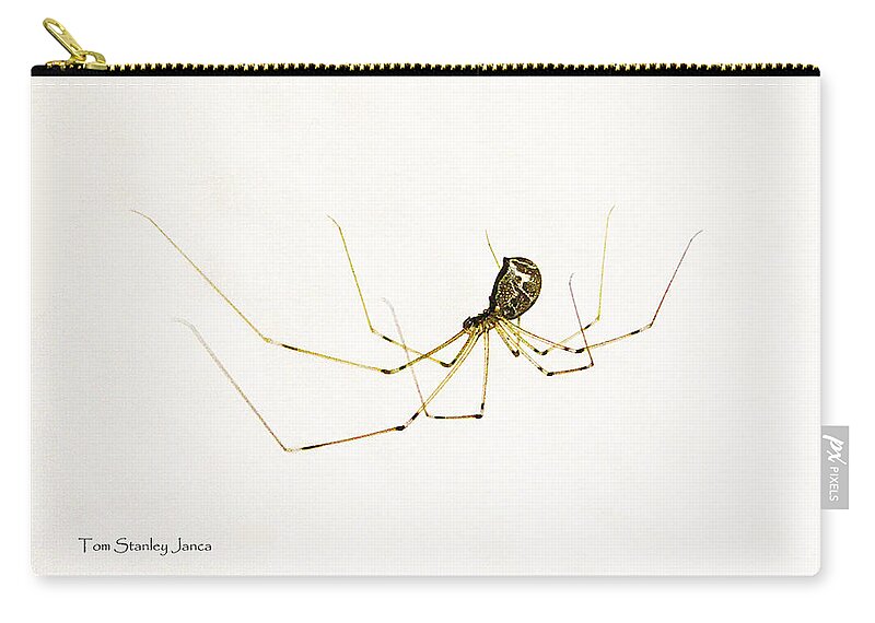 Spider Resider Zip Pouch featuring the photograph Spider Resider by Tom Janca