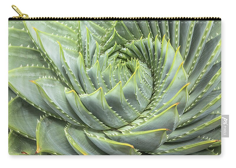 Natural Pattern Zip Pouch featuring the photograph Spiral Aloe Aloe Polyphylla by David Madison