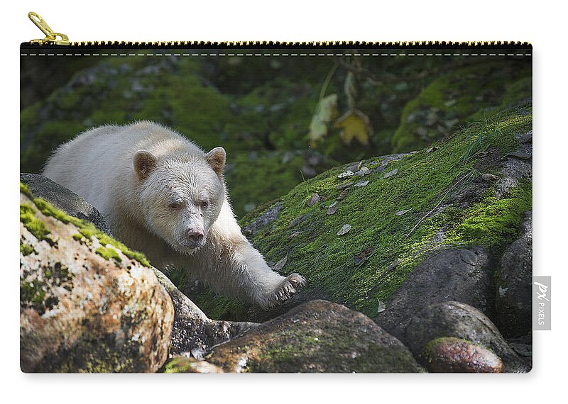 Bear Zip Pouch featuring the photograph Spirit Bear Up Close by Bill Cubitt