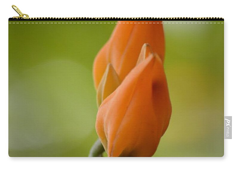 Spirit Of Spring Zip Pouch featuring the photograph Spirit of Spring by Sonali Gangane