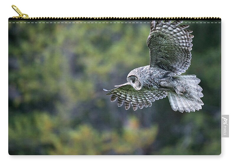 Great Gray Owl Zip Pouch featuring the photograph Spirit of the Forest by Max Waugh