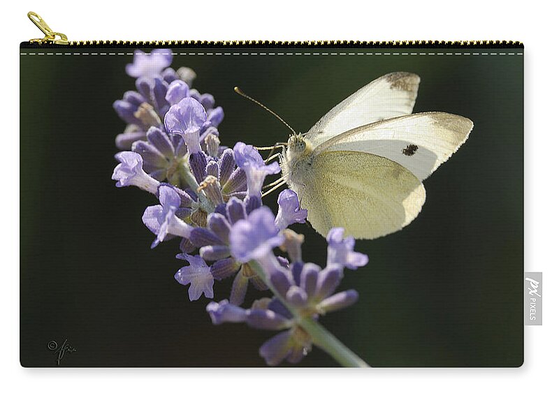 Insect Carry-all Pouch featuring the photograph Spot by Arthur Fix