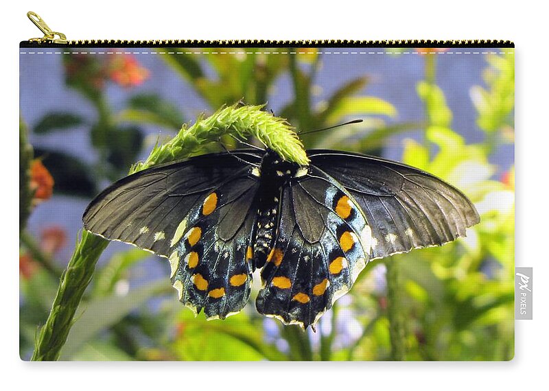 Butterfly Zip Pouch featuring the photograph Spotted Beauty by Jennifer Wheatley Wolf