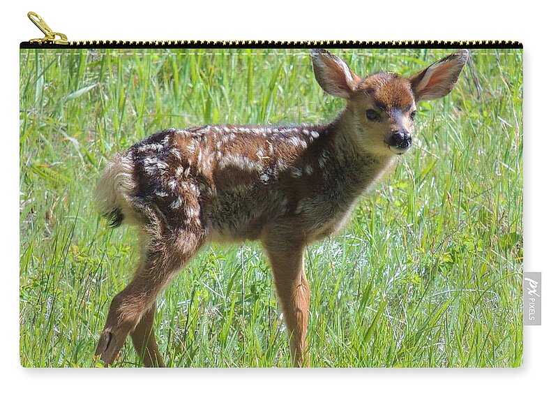 Fawn Zip Pouch featuring the photograph Spotted Fawn by Michele Penner