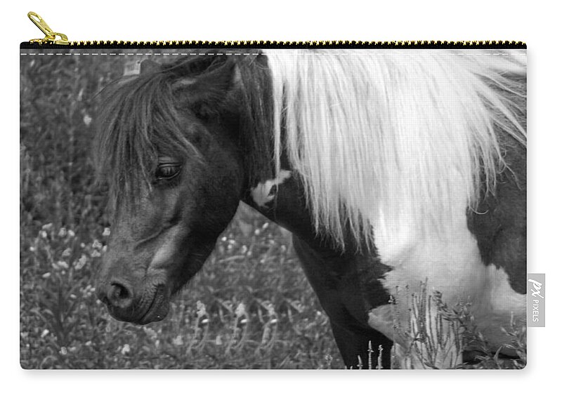 Pony Zip Pouch featuring the photograph Spotted Pony by Joyce Wasser