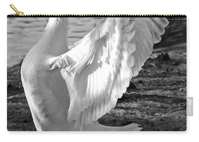 Landscape Zip Pouch featuring the photograph Spread Your Wings B and W by Lisa Phillips