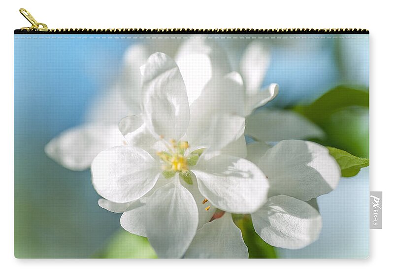 Spring Zip Pouch featuring the photograph Spring AppleTree Blossom by Jenny Rainbow