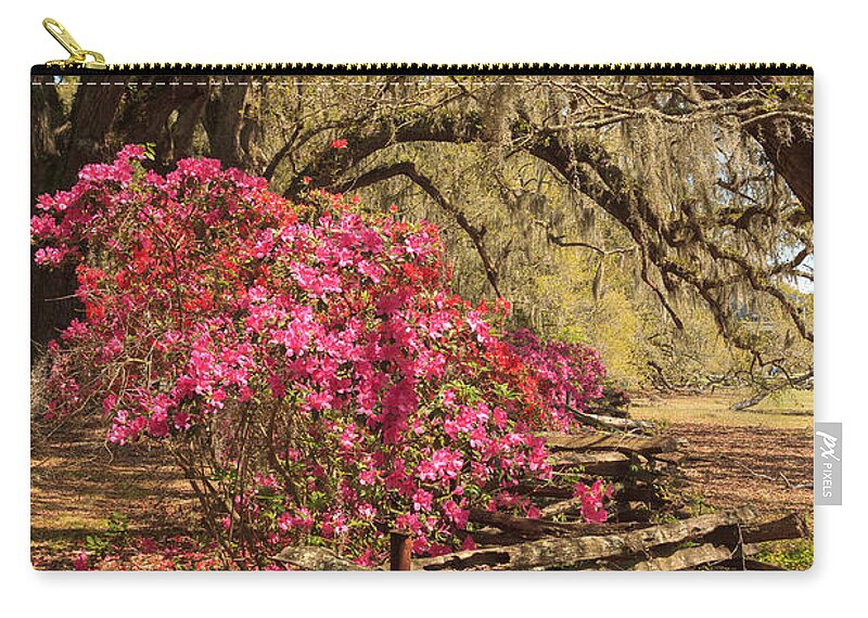 Azalea Zip Pouch featuring the photograph Spring Beauty by Patricia Schaefer