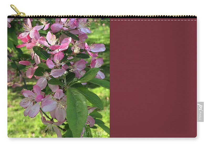 Apple Blossoms Zip Pouch featuring the photograph Spring Blossoms - Flower Photography by Miriam Danar