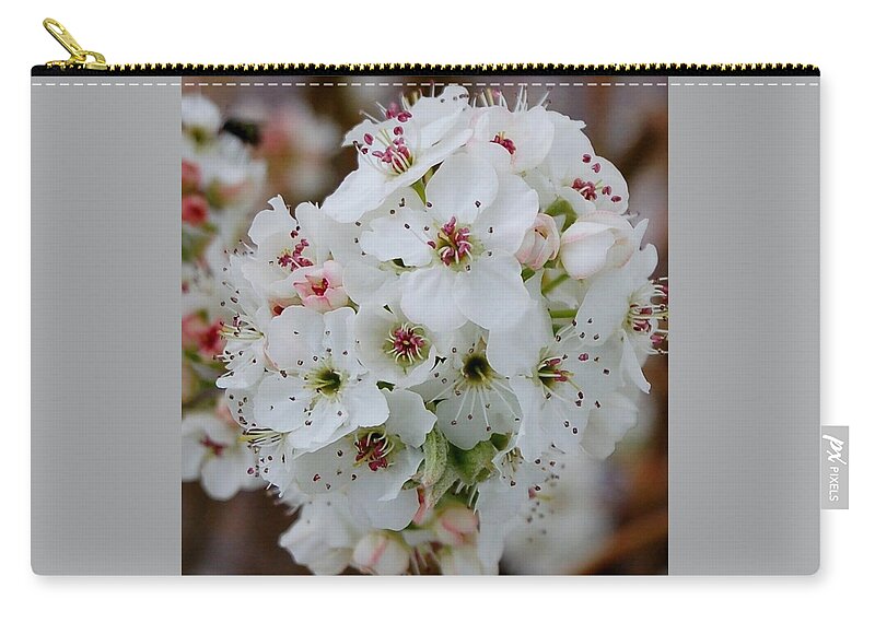 Flowers Zip Pouch featuring the photograph Spring by Christopher James