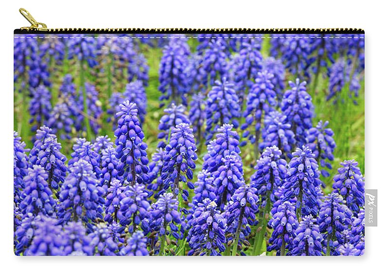 Tranquility Zip Pouch featuring the photograph Spring In Fukushima by Nobythai