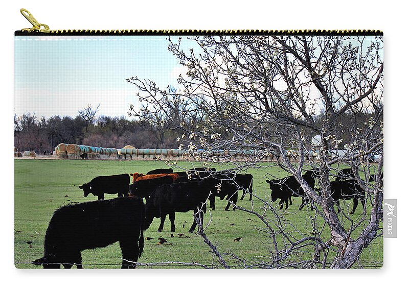 Spring Zip Pouch featuring the photograph Spring in the Hay Meadow by Sylvia Thornton