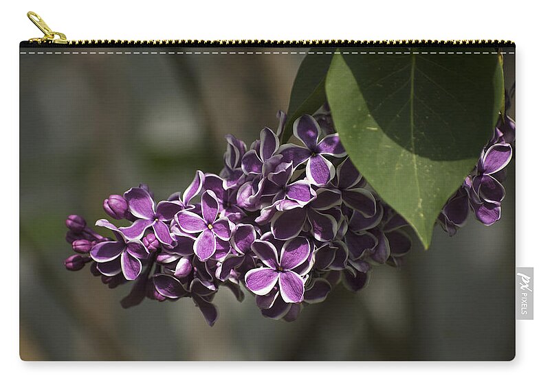 Lilac Zip Pouch featuring the photograph Spring Lilac by Elsa Santoro