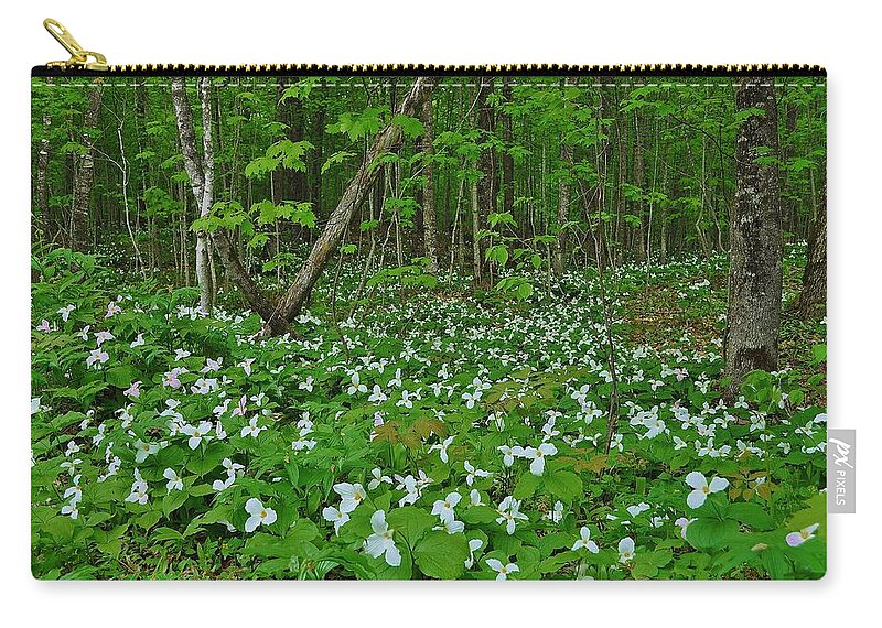 Trilliums Zip Pouch featuring the photograph Spring Sight by Kathryn Lund Johnson