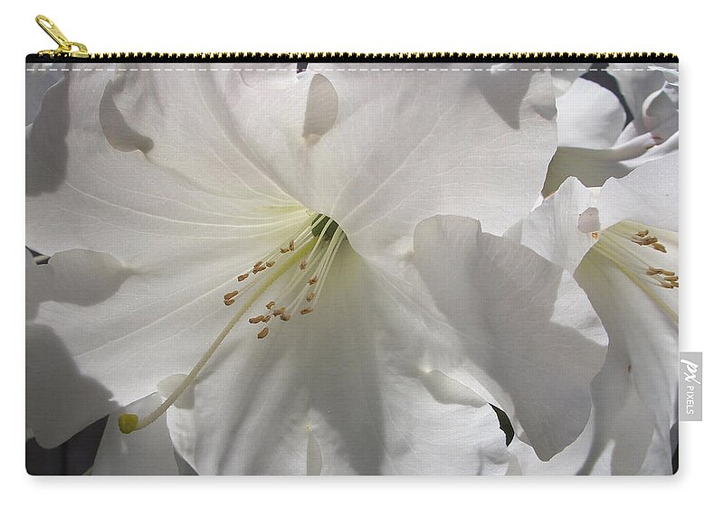 Loderi Zip Pouch featuring the photograph Spring Snow by Crista Forest