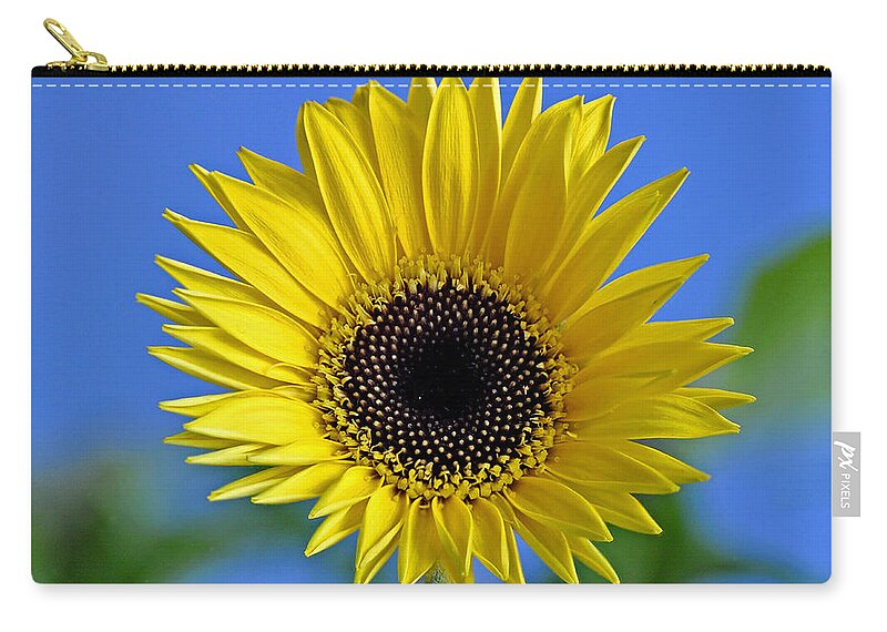 Flower Zip Pouch featuring the photograph Spring's Promise by Rodney Campbell