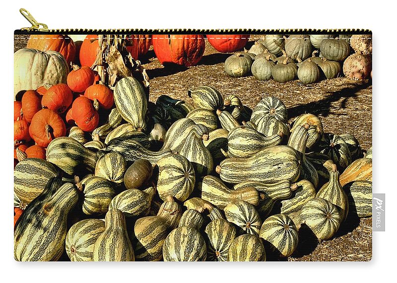 Southern Zip Pouch featuring the photograph Squash- Gourds by Michael Gordon