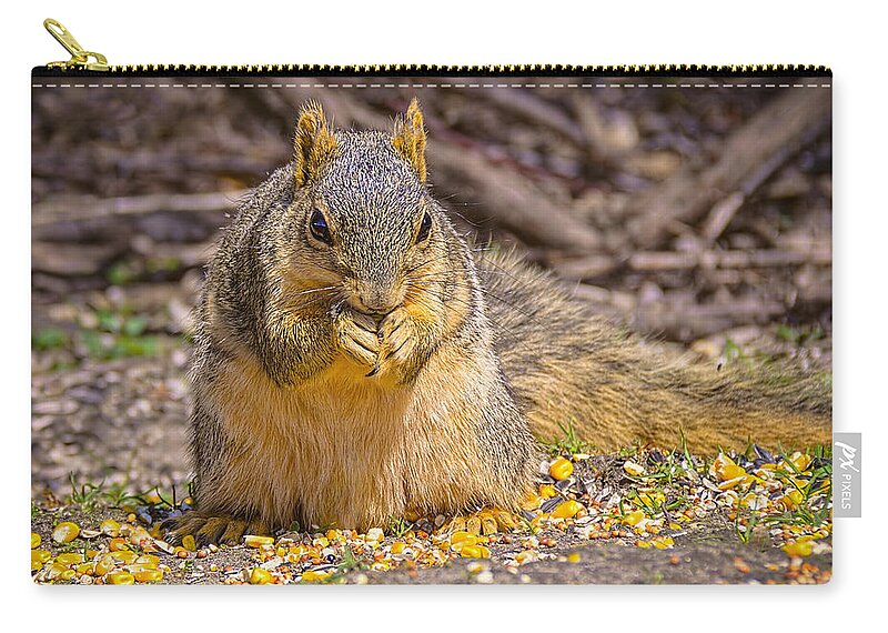 Animals Zip Pouch featuring the photograph Squirrel and non GMO Corn by LeeAnn McLaneGoetz McLaneGoetzStudioLLCcom