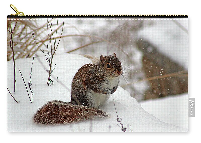 Winter Zip Pouch featuring the photograph Squirrel in Winter by Karen Adams