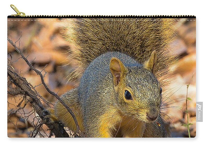 Squirrel Zip Pouch featuring the photograph Squirrel by John Johnson