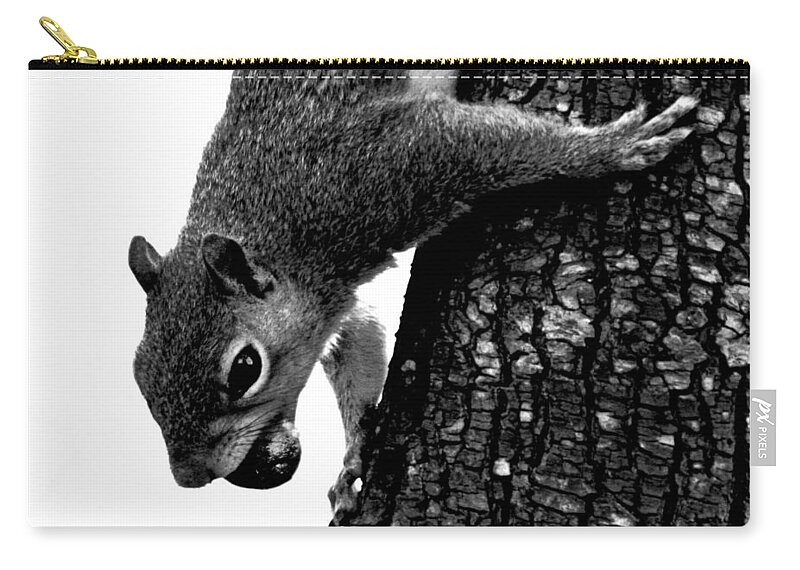 Squirrel Zip Pouch featuring the photograph Squirrel on A Mission by Lesa Fine