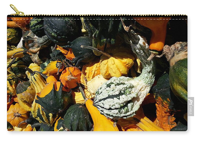 Harvest Zip Pouch featuring the photograph Squish Squash by Caryl J Bohn