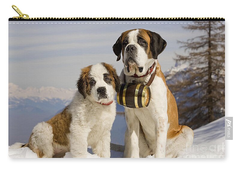 Dog Zip Pouch featuring the photograph St Bernard And Puppy by Jean-Michel Labat