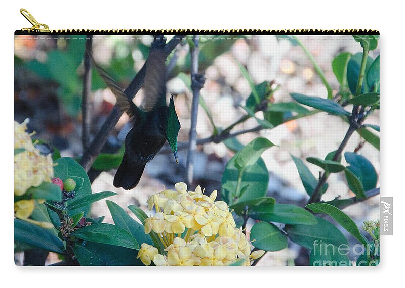 St. Lucia Zip Pouch featuring the photograph St. Lucian Hummingbird by Laurel Best