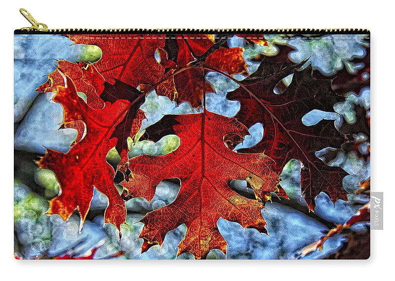 Fall Colors Canvas Print Zip Pouch featuring the photograph Stained Glass by Lucy VanSwearingen