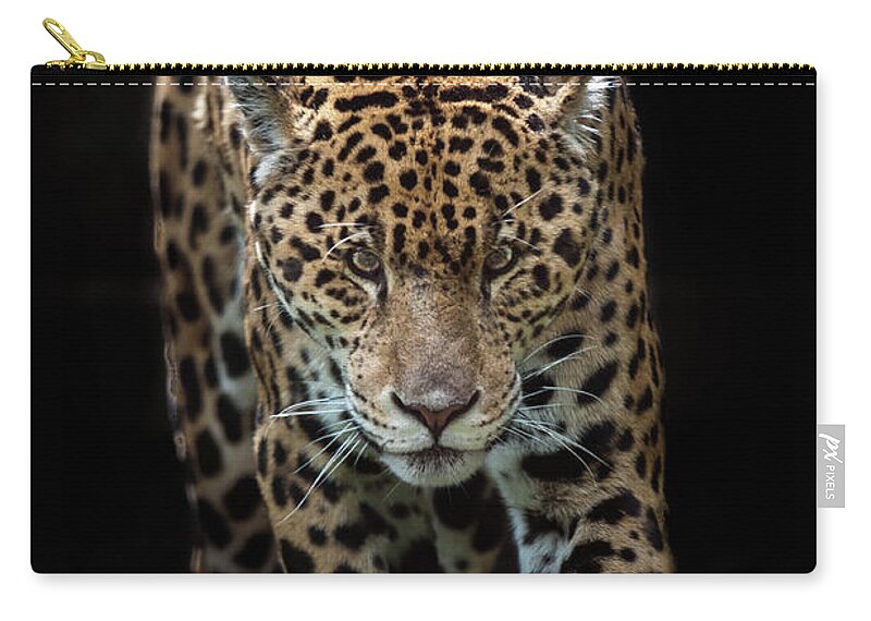 Grass Zip Pouch featuring the photograph Stalking Jaguar by © Justin Lo