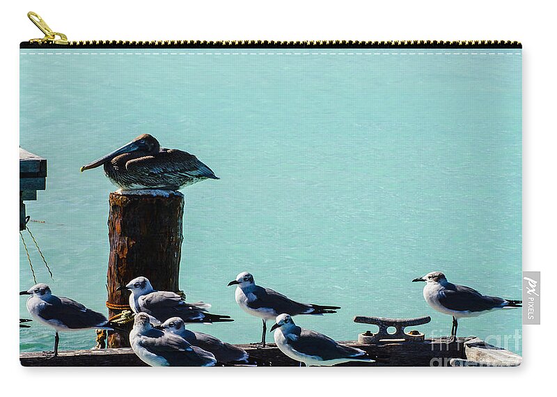 Aruba Zip Pouch featuring the photograph Standing Guard by Judy Wolinsky