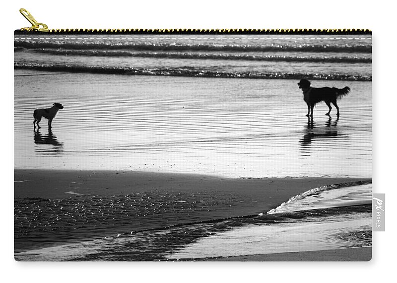 Dog Zip Pouch featuring the photograph Standoff At The Beach by Aidan Moran
