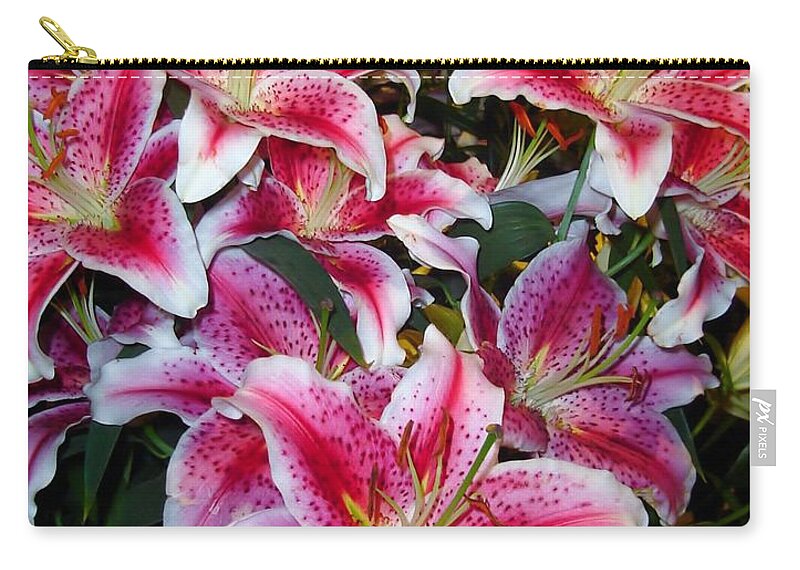 Pink Zip Pouch featuring the painting Star Gazing by Vickie G Buccini