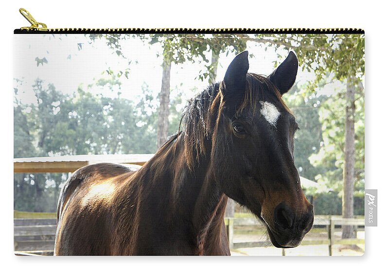 Mill Creek Farm Zip Pouch featuring the photograph Star by Laurie Perry