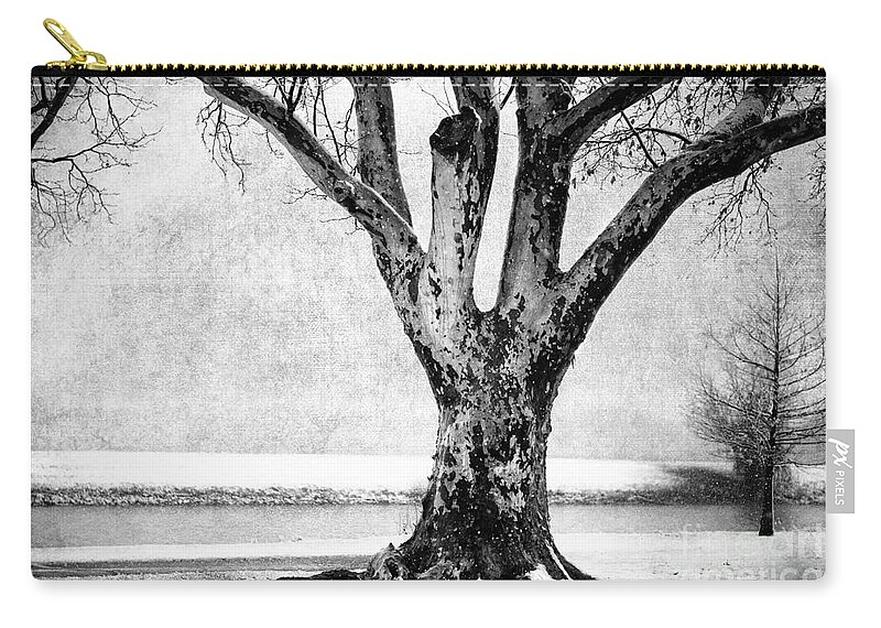 Tree Zip Pouch featuring the photograph Stately by Betty LaRue