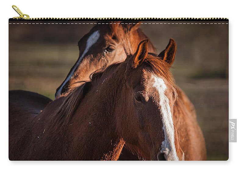 Horses Zip Pouch featuring the photograph Stay Close by Ana V Ramirez