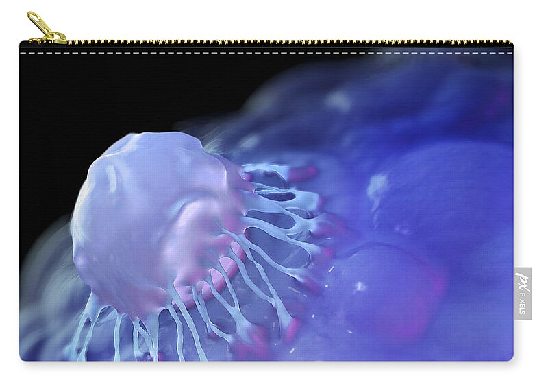 Stem Cell Zip Pouch featuring the photograph Stem Cells by Science Picture Co