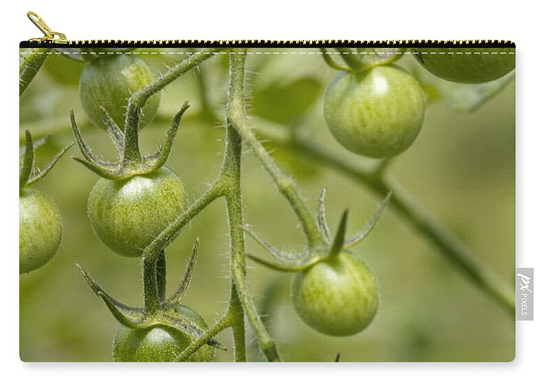 Green Zip Pouch featuring the photograph Still Green by Kathy Clark