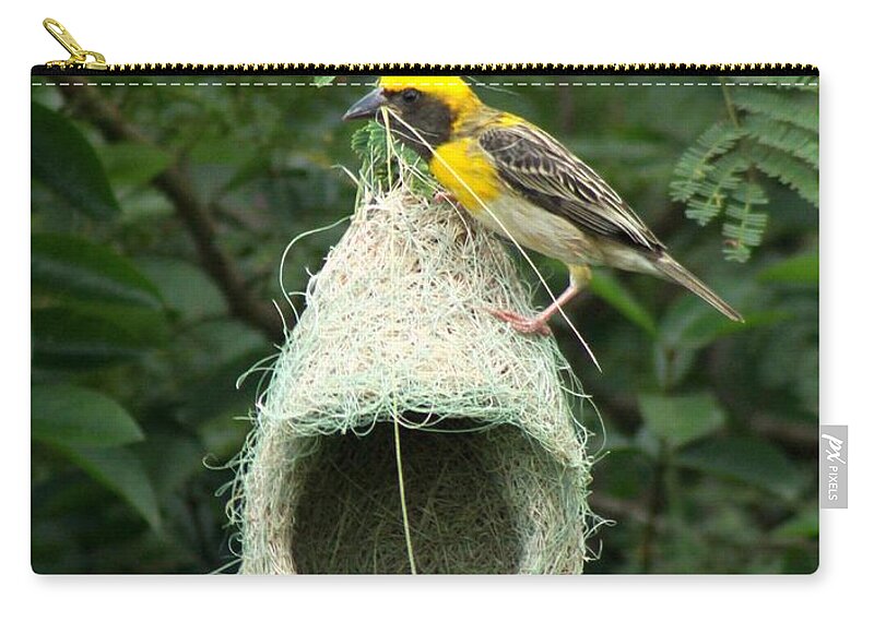 Weaver Bird Zip Pouch featuring the photograph Stitch in Time by Ramabhadran Thirupattur