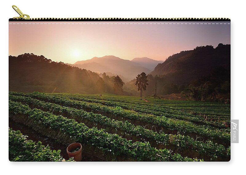 In A Row Zip Pouch featuring the photograph Strawberry Field by Pailoolom