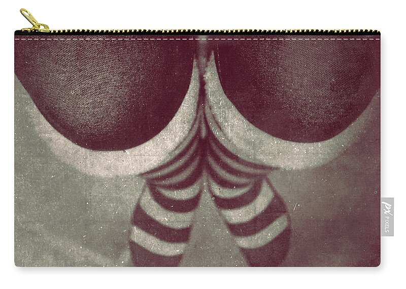 Socks Zip Pouch featuring the photograph StRiPeD wOrLd by Trish Mistric